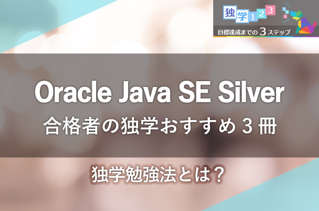 Oracle Java SE Silver